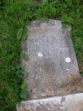 image of grave number 88254
